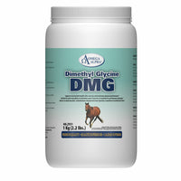 Omega Alpha® Dimethyl Glycine (DMG)
