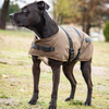 The Outback Trading Company "Clancy" Oilskin Dog Coat