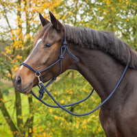 Rope Halter with Reins