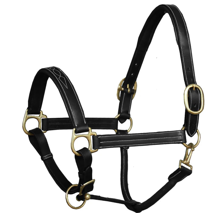 Harness Fancy Padded Halter