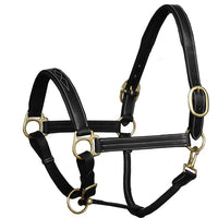 Harness Fancy Padded Halter