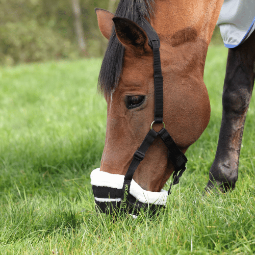 FreeGraze Grazing Muzzle