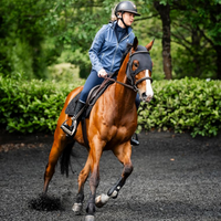 Horseware® Ionic Therapy Calming Face Mask
