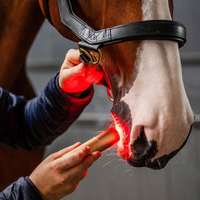Horseware® LED Red Light Therapy Wand