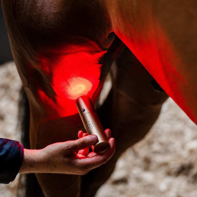 Horseware® LED Red Light Therapy Wand