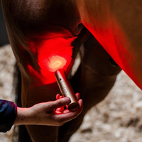 Horseware® LED Red Light Therapy Wand