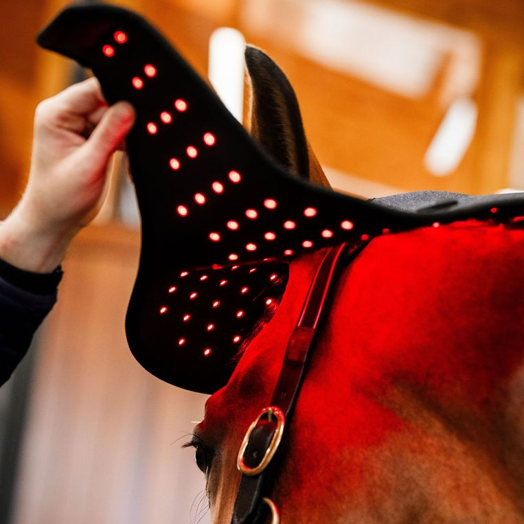 Horseware® LED Red Light Poll Cap