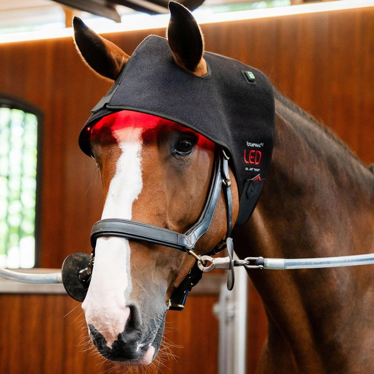 Horseware® LED Red Light Poll Cap