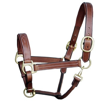 Harness Fancy Padded Halter
