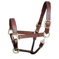 Harness Fancy Padded Halter