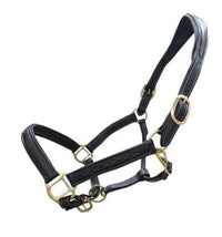Anatomic Soft Padding Leather Halter - Free Brass Name Tag