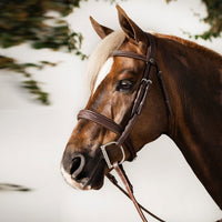 Antarès® Signature Hunter Bridle + FREE Custom Name Tag!