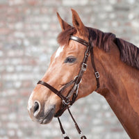 STAR® Bitless Bridle - Brown