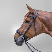 Waldhausan® Star Leather Bitless Bridle - Havana Brown