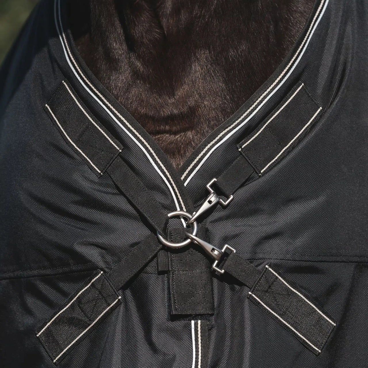 Back On Track® Obsidian Winter Turnout Blanket + FREE Custom Name Tag!