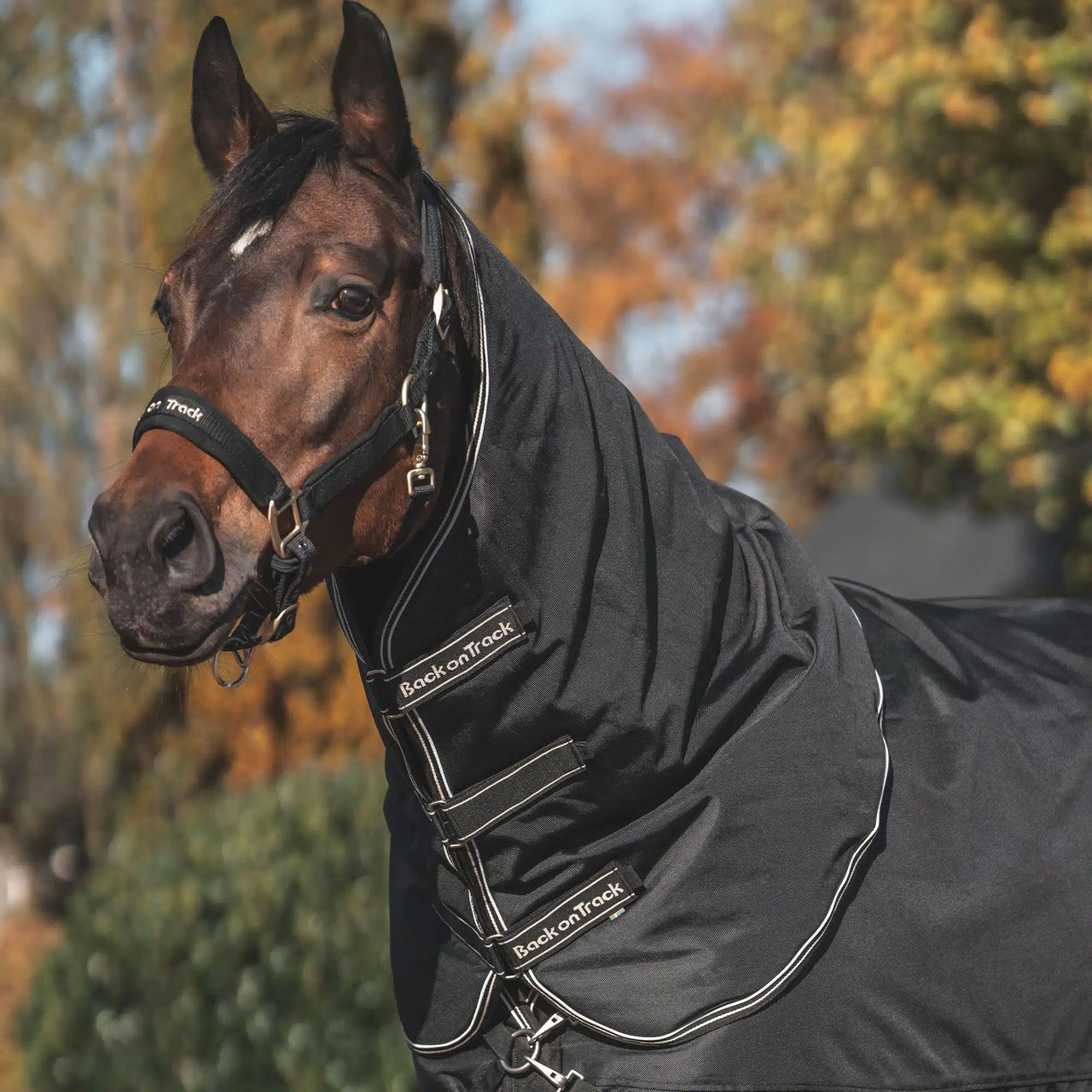 Back On Track® Obsidian Winter Turnout Blanket + FREE Custom Name Tag!