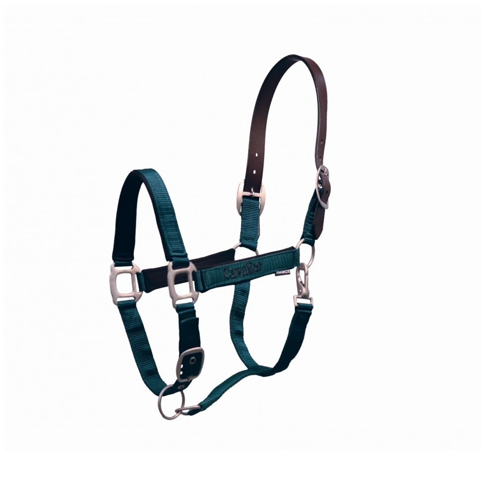 Cavalier Breakaway Halter