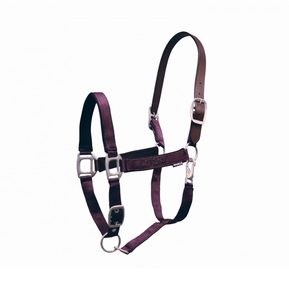 Cavalier Breakaway Halter