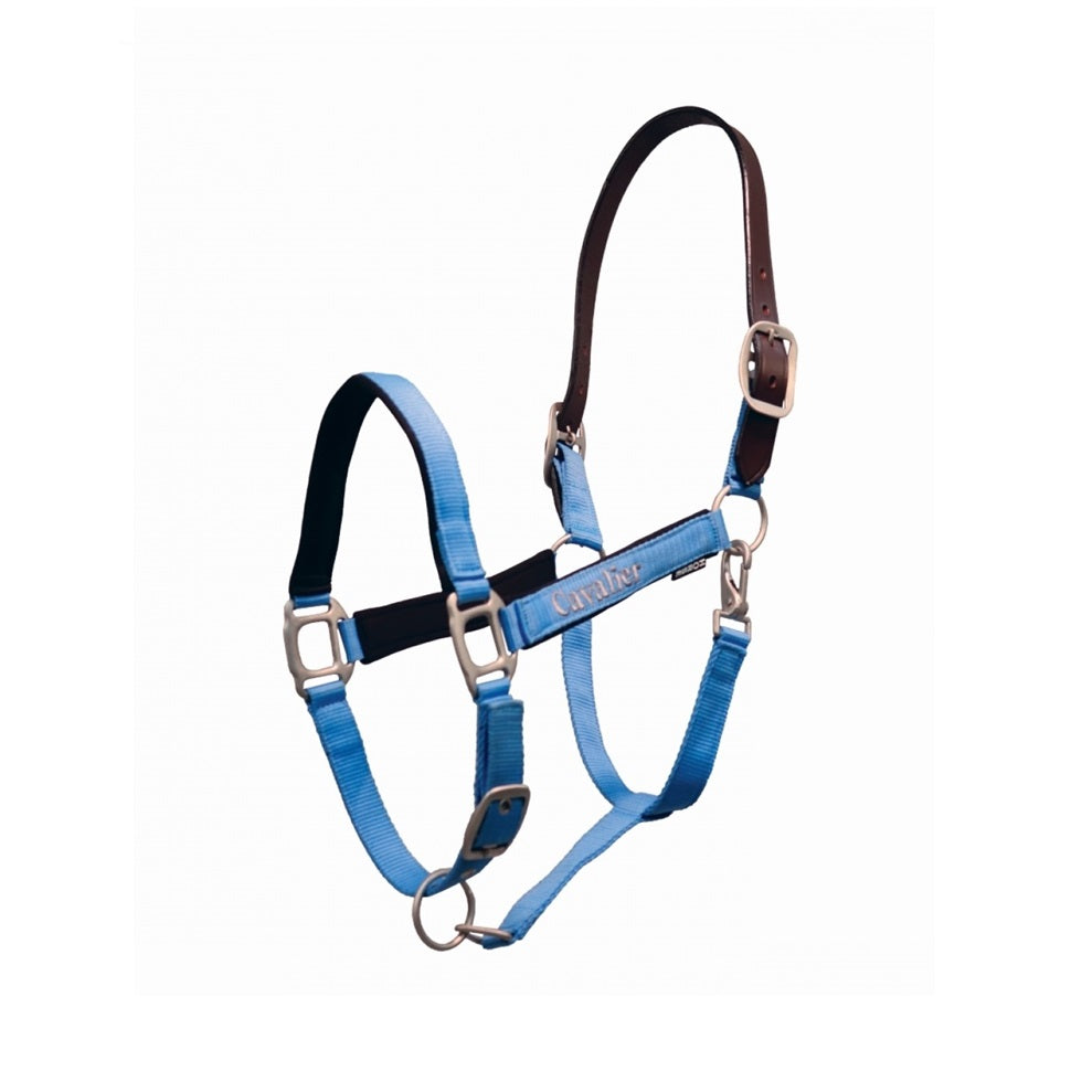 Cavalier Breakaway Halter