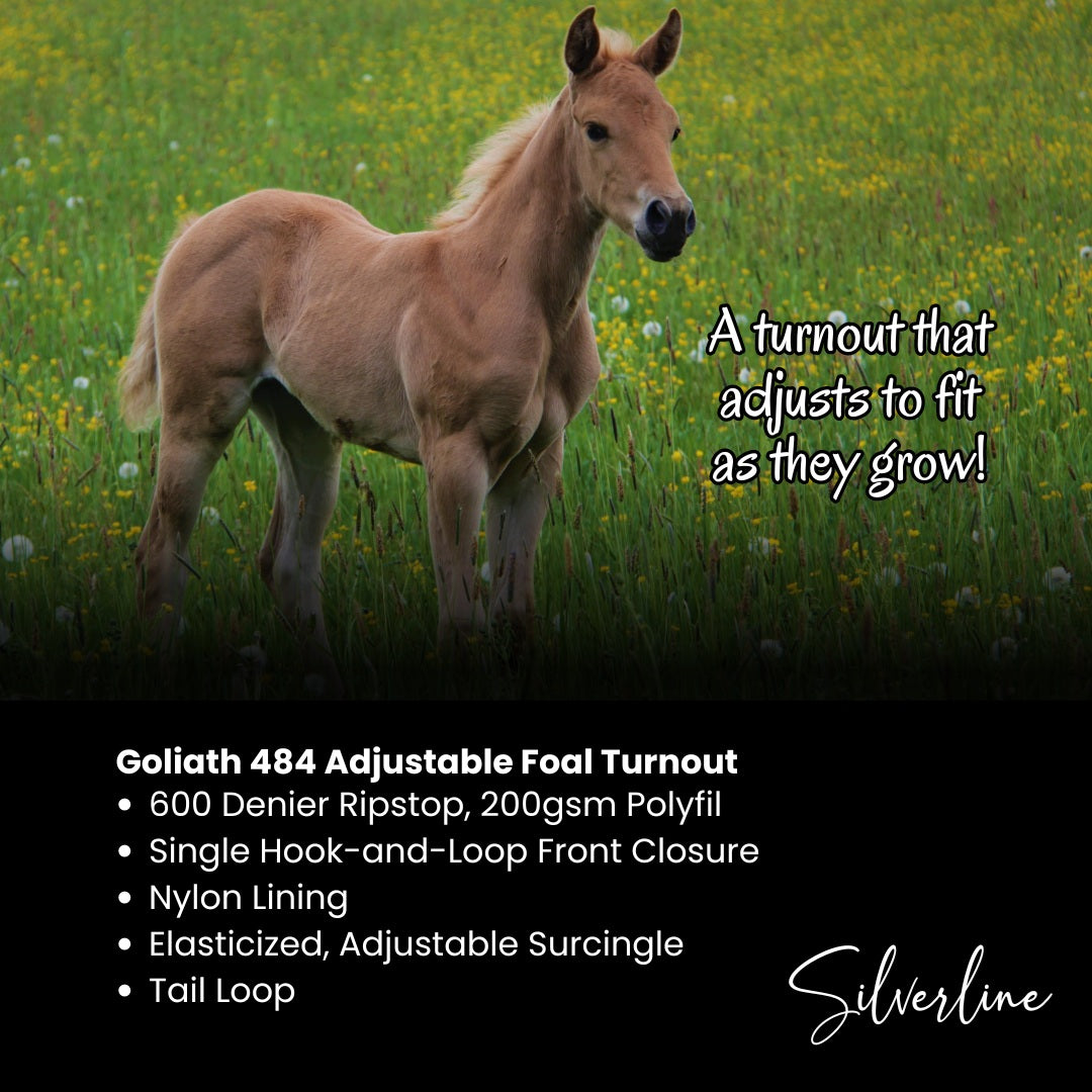 Goliath Adjustable foal Blanket - 28" to 42"