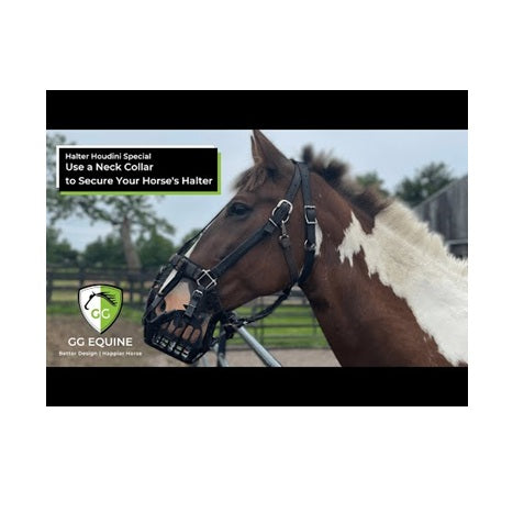 Greenguard Neck Strap