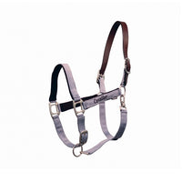 Cavalier Breakaway Halter