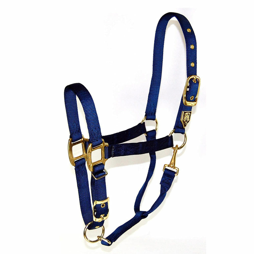 Hamilton Nylon Halter with Adjustable Chin and Snap