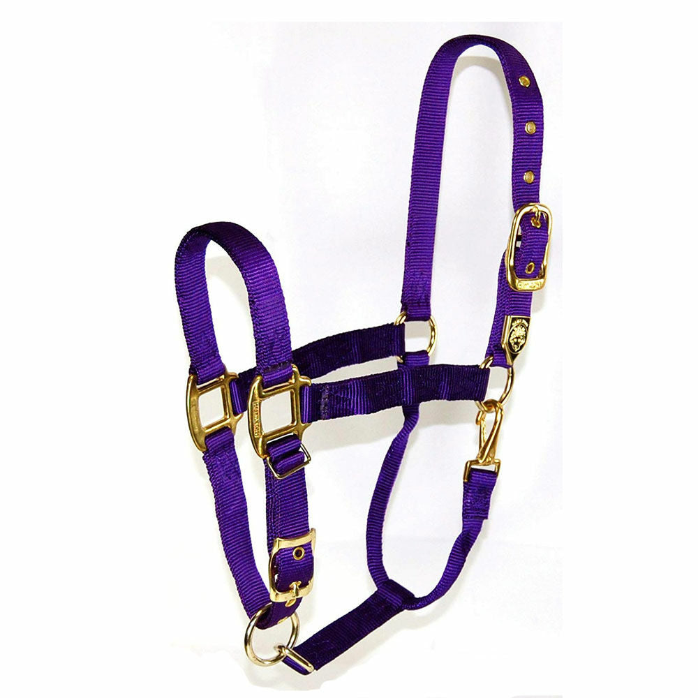 Hamilton Nylon Halter with Adjustable Chin and Snap