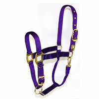 Hamilton Nylon Halter with Adjustable Chin and Snap