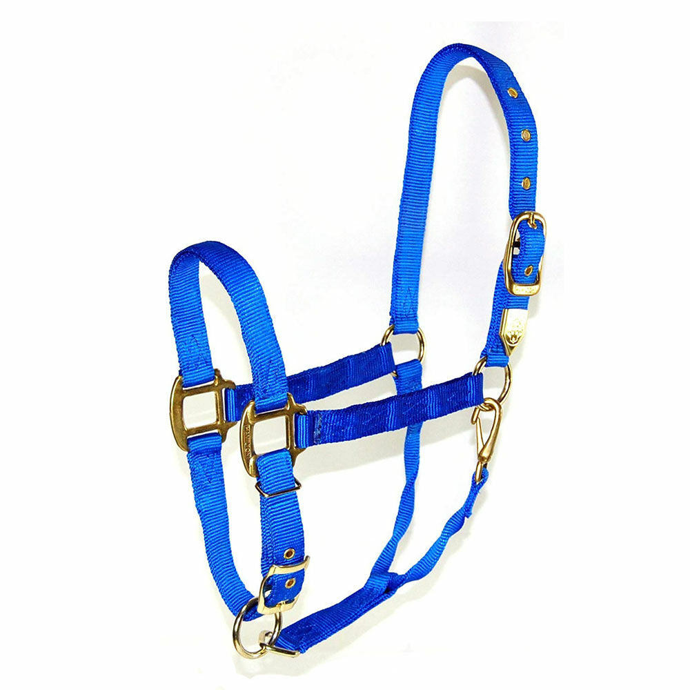 Hamilton Nylon Halter with Adjustable Chin and Snap