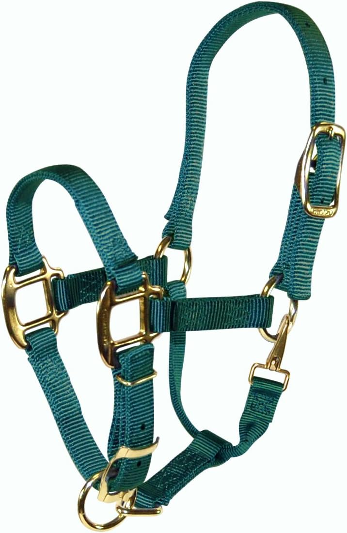 Hamilton Nylon Halter with Adjustable Chin and Snap