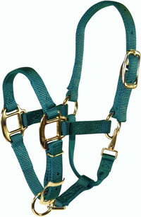 Hamilton Nylon Halter with Adjustable Chin and Snap