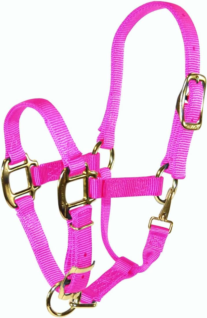 Hamilton Nylon Halter with Adjustable Chin and Snap