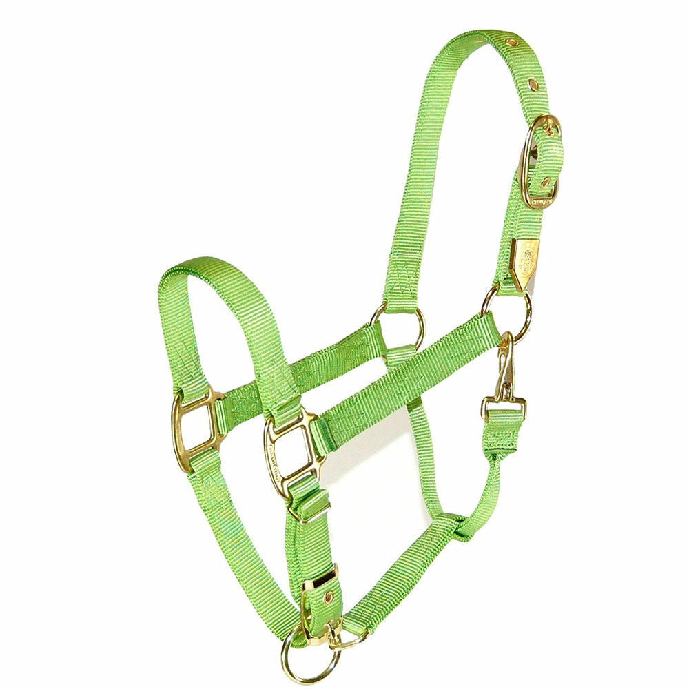 Hamilton Nylon Halter with Adjustable Chin and Snap