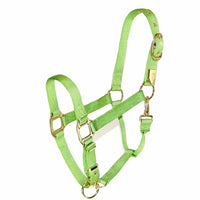 Hamilton Nylon Halter with Adjustable Chin and Snap