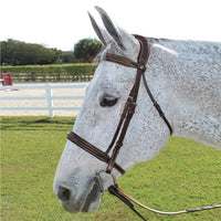 HDR Pro Stress Free Fancy Stitched Padded Bridle + Free Name Tag