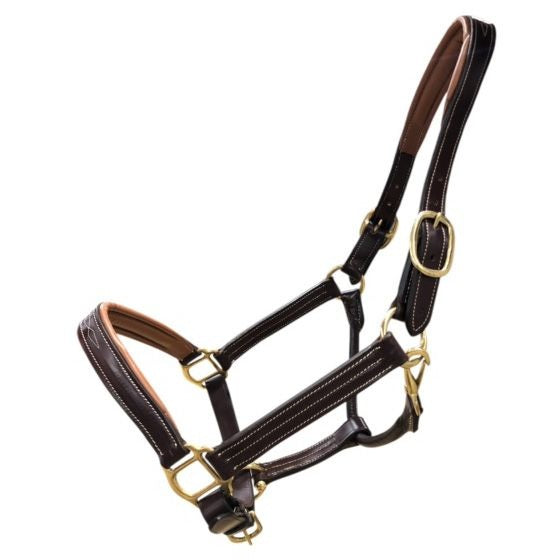 Fancy Padded Leather Halter - Free Brass Name Tag