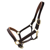 Fancy Padded Leather Halter - Free Brass Name Tag