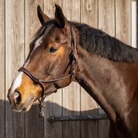 Leather Rope Halter