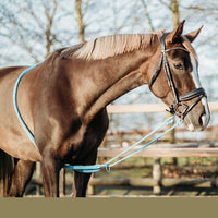 QH Lunging Aid