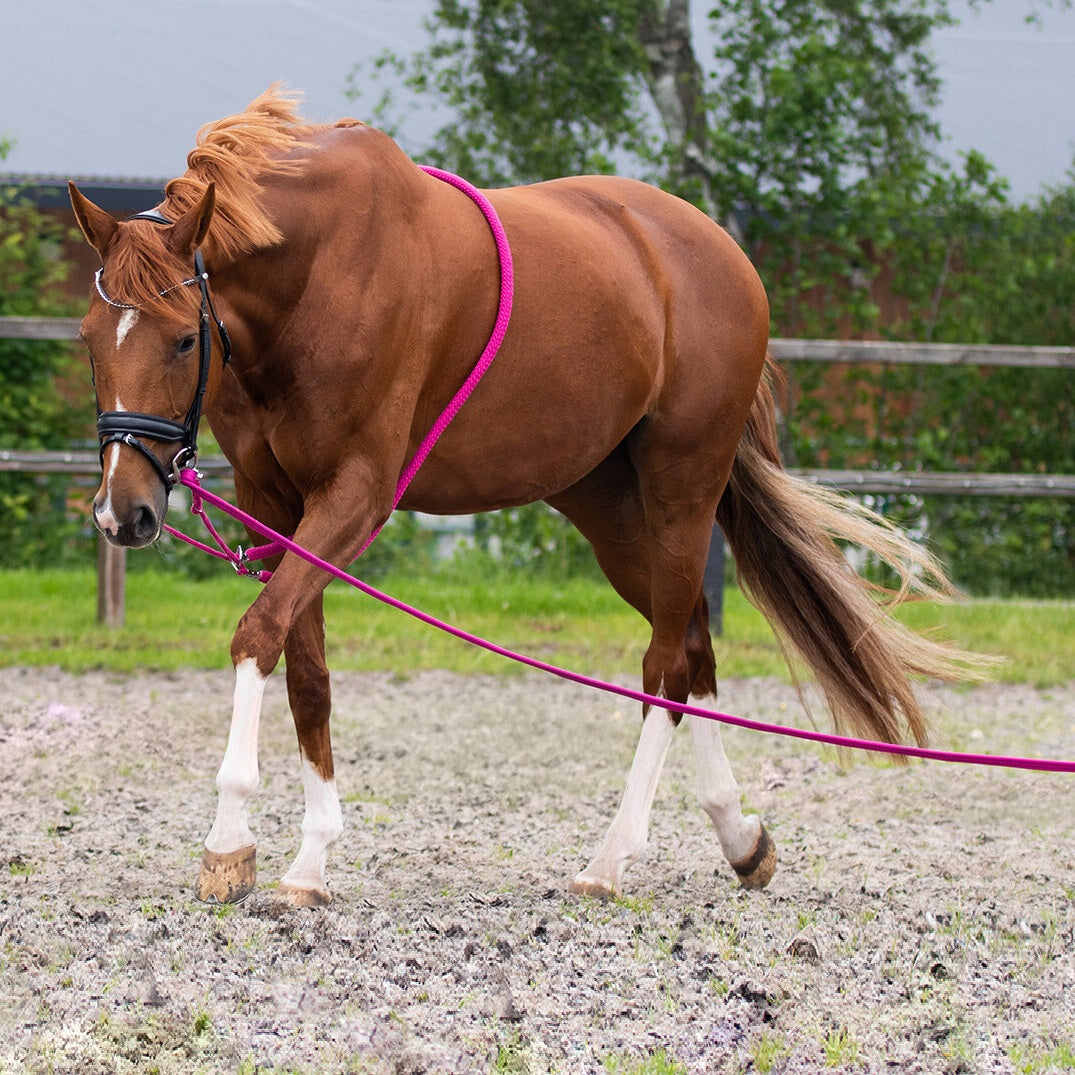 QH Lunging Aid