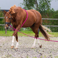 QH Lunging Aid