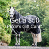 Amigo® 1200D Plus 250G Medium Turnout Blanket + FREE Custom Name Tag! Plus Get A $50 Picov's Gift Card