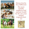Foothills Naturals "Mare Be Good" Raspberry Leaves
