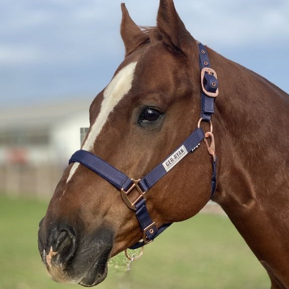 Padded Nylon Rose Gold Halter