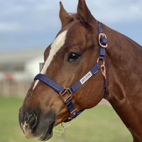 Padded Nylon Rose Gold Halter