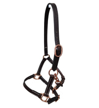 Sage Leather Mini/Foal Halter w/ Rose Gold Hardware