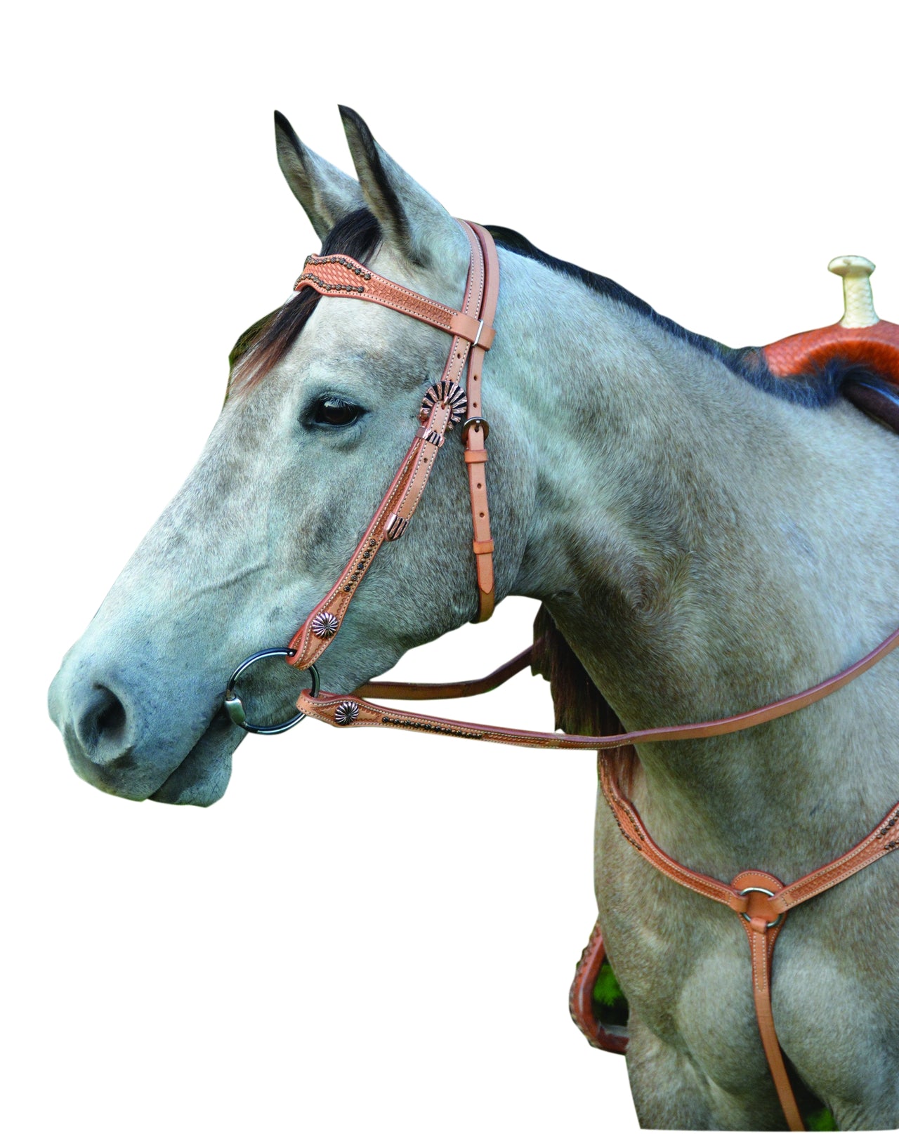 SIERRA Dots & Spots Brow Headstall