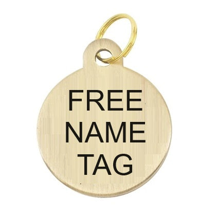 Fancy Padded Leather Halter - Free Brass Name Tag