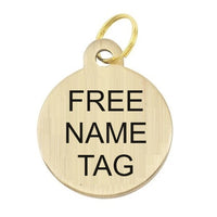 Fancy Padded Leather Halter - Free Brass Name Tag